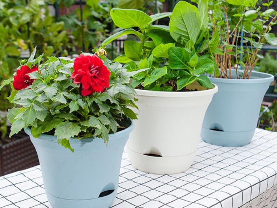 Self-watering planter set with reservoir detail
